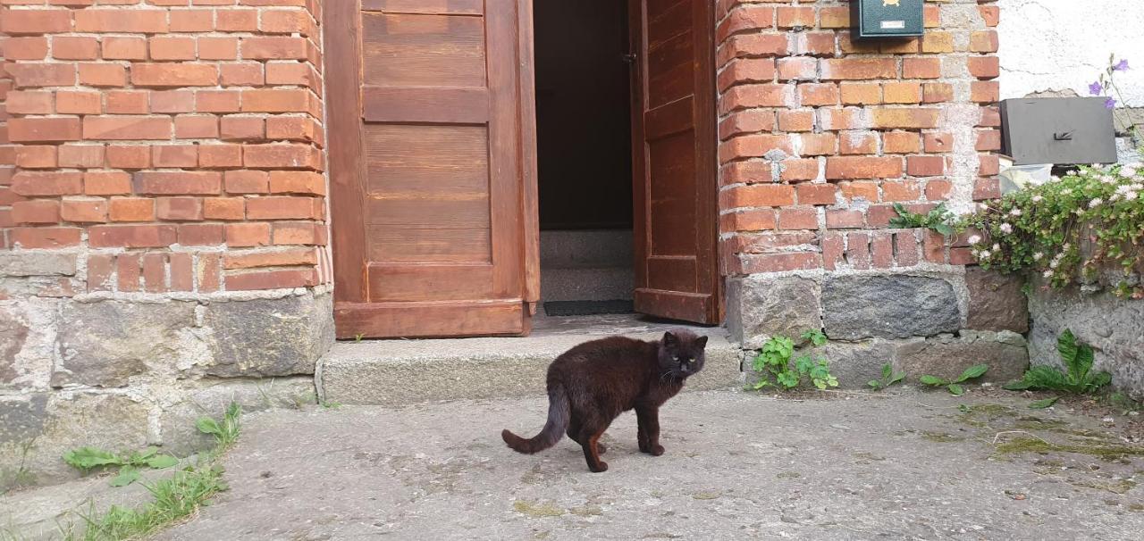 Mazurska Przystan Villa Dąbrówno Exteriör bild